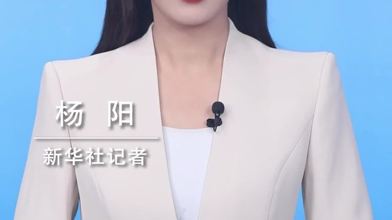数据中台查询性能优化：揭秘提升效率的关键策略